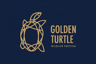 مسابقه لاک‌پشت طلایی