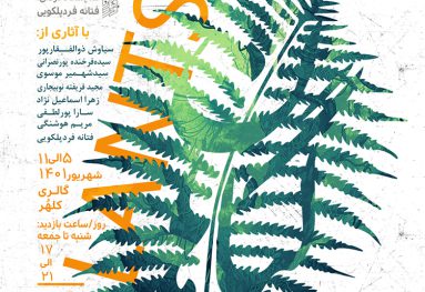 زیباسازی