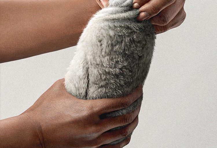 تصاویر چاپ شده در روزنامه تایمز هند، در مورد محیط زیست