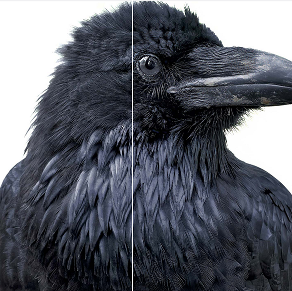 ویرایش تصویر با هوش مصنوعی