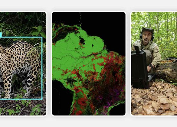 هوش مصنوعی گوگل