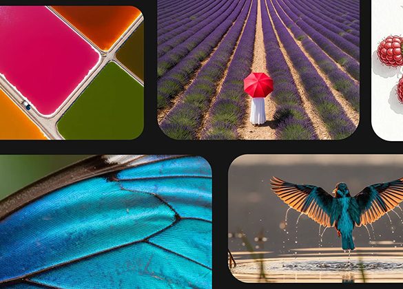 هوش مصنوعی گوگل