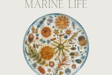 چالش علم بدون مرز