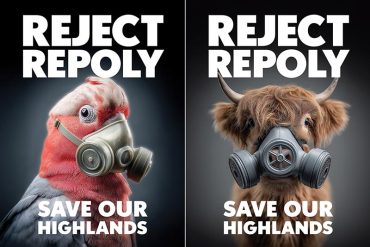 پلاستیک‌های کوچک