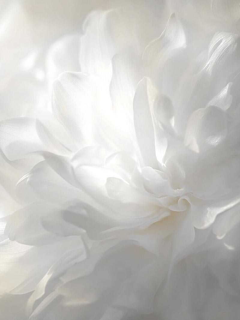 رنگ سال 2026 در کاربرد