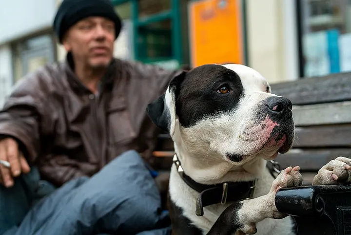 عکاسی خیابانی