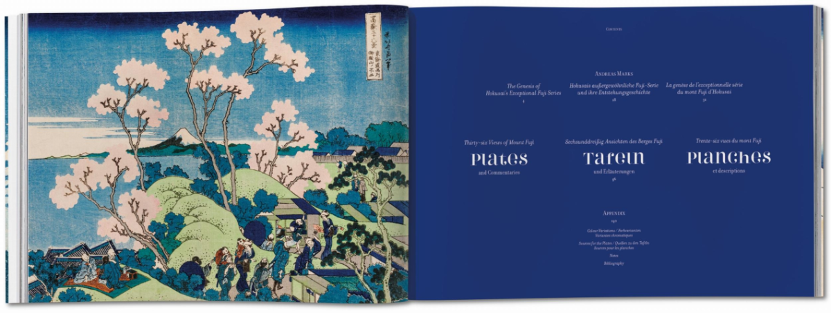 بازنشر کتاب سیوشش نمای کوه فوجی