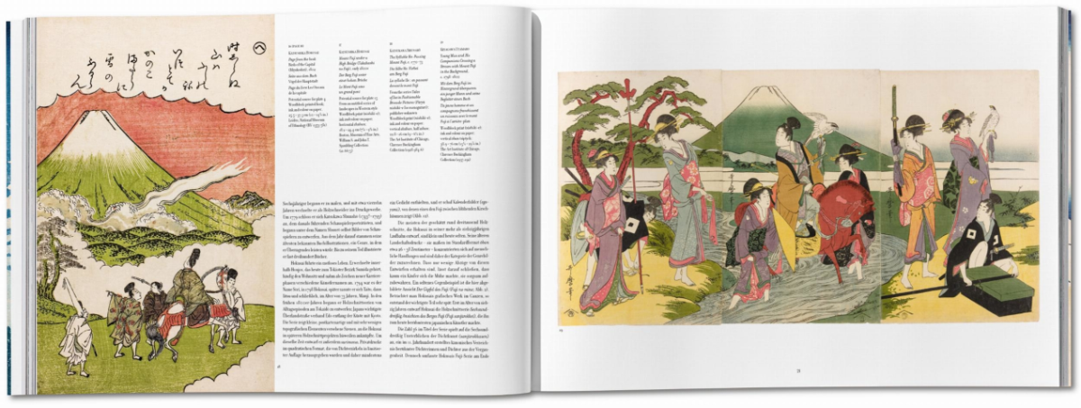 کتاب سیوشش نمای کوه فوجی انتشارات تاشکن