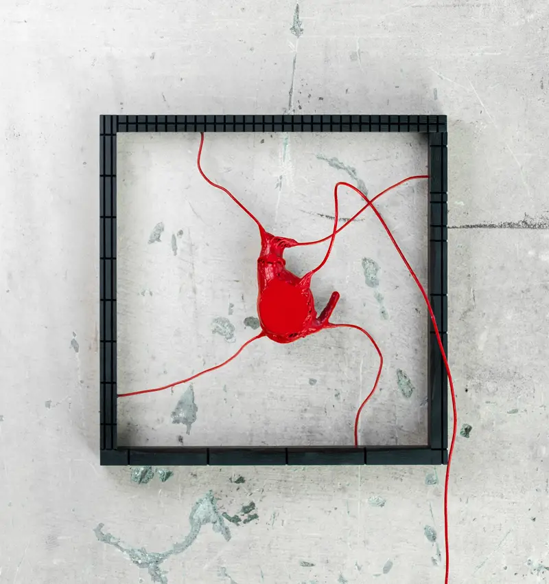 اینستالیشن تعاملی «Your Heart Specimen» قاب