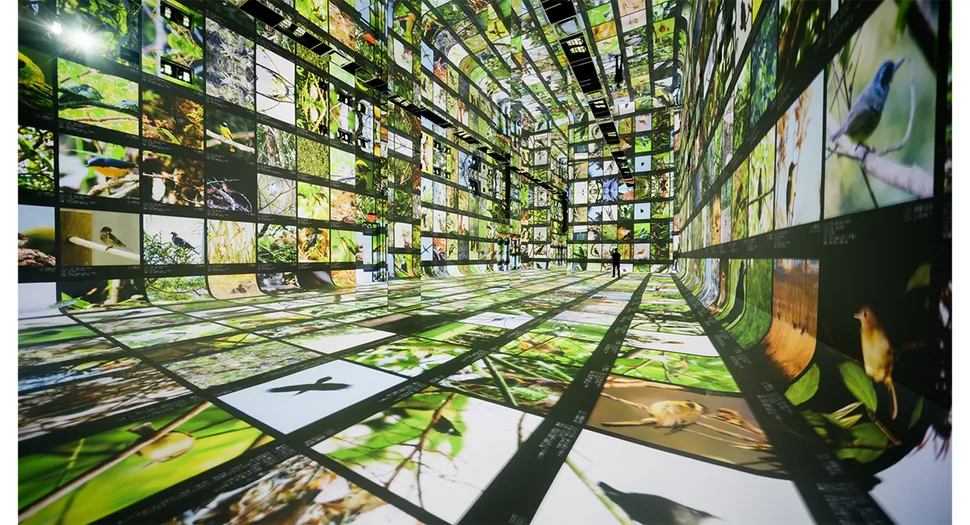 DATALAND نخستین موزه هوش مصنوعی جهان/ Data Pavilion