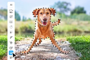 Photoshop Elements