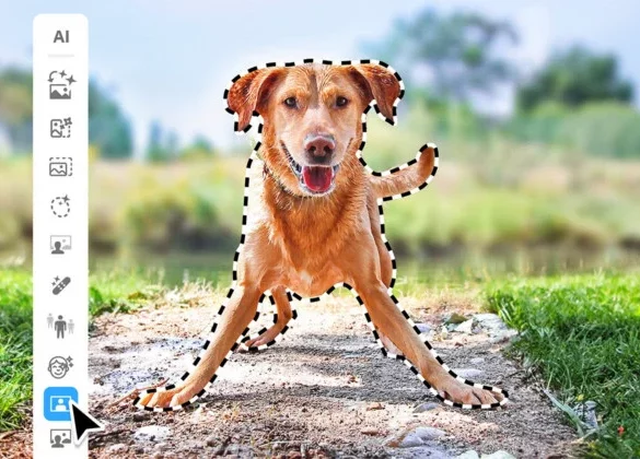 Photoshop Elements